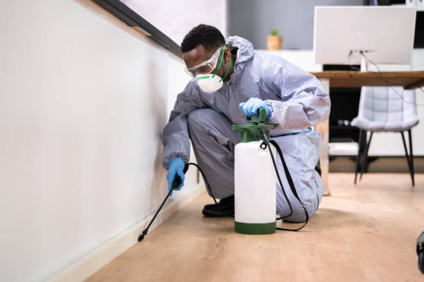 Best Emergency Pest Control  in St Louis, MI